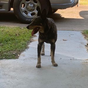 Meet your Posher, Tex